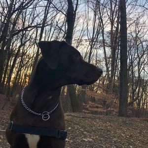 Meet your Posher, Ryan